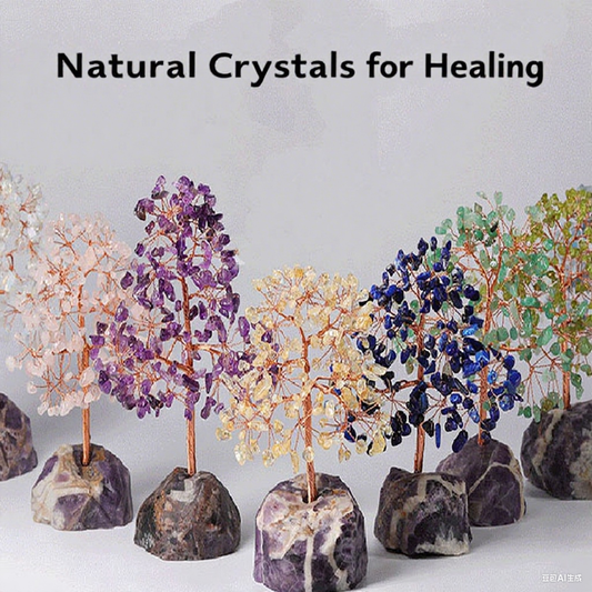 Energy Feng Shui Trees - Attract Good Vibes & Harmonize Your Space